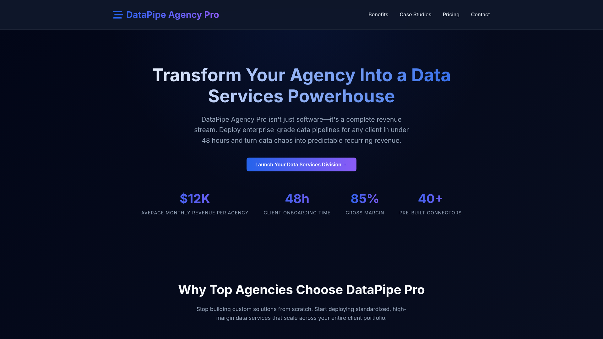DataPipe Agency Pro logo